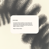 Superfeast | Ashwagandha Capsules (90 capsules)