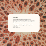 Superfeast | Mason's Mushrooms Powdered Extract Blend 100g