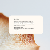 Superfeast | Lion’s Mane Mushroom Powdered Extract 100g