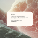 Superfeast | Deer Antler Powdered Extract 70g (miron)