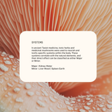 Superfeast | JING – Taoist Herbal Blend 100g