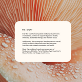 Superfeast | Mason's Mushrooms Powdered Extract Blend 100g