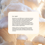 Superfeast | Reishi Powdered Extract 100g